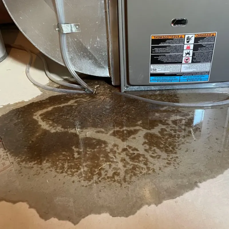 Pipe Burst and Leak Restoration in Montrose County, CO