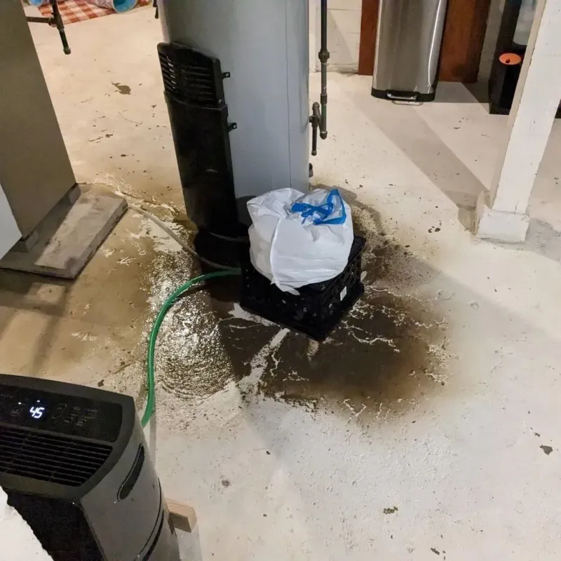 Sewage Backup Cleanup Service in Montrose County, CO